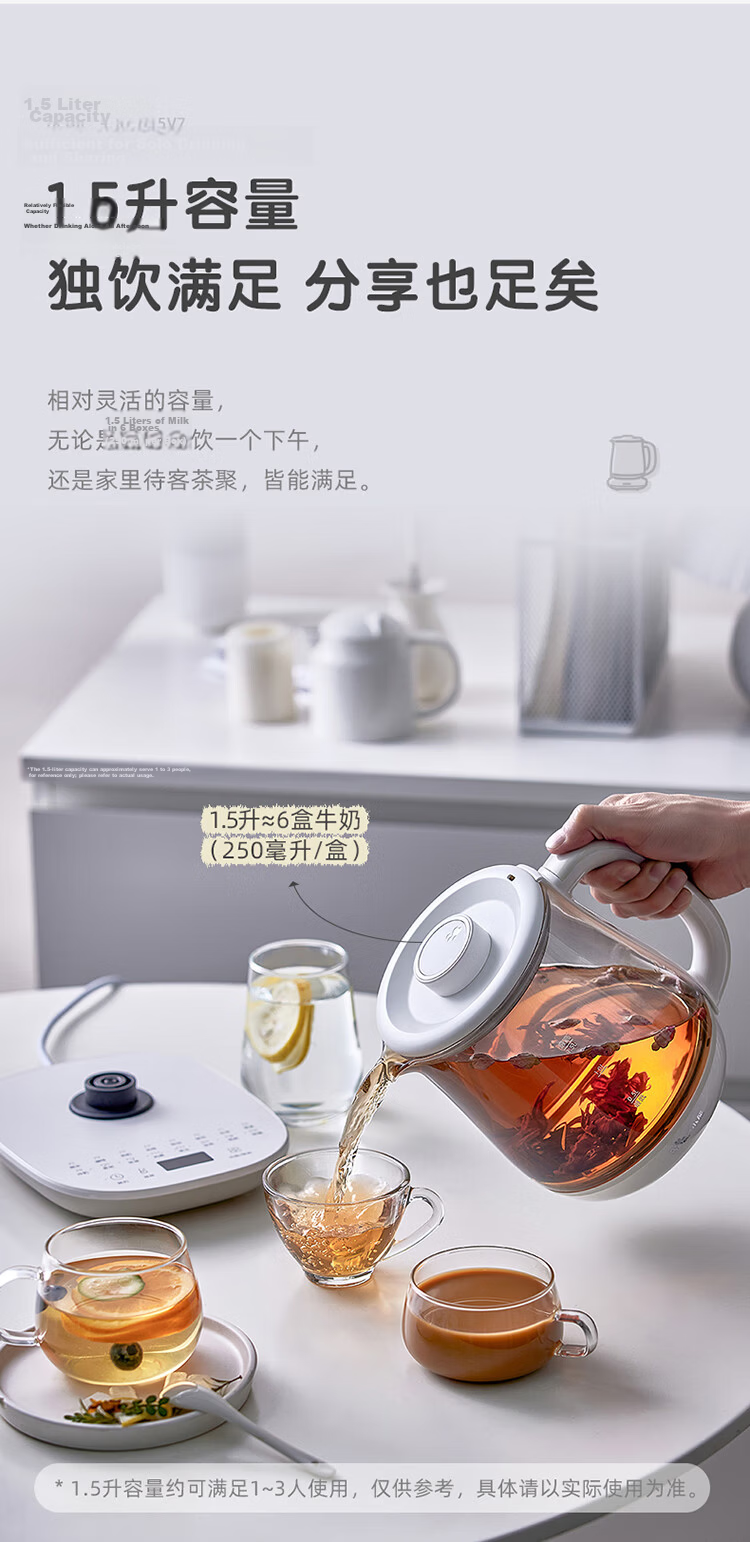 Bear Decoction Pot, Chinese Herbal Medicine Pot, Automatic Electric Sand Pot for Decocting, 4L Large Capacity JYH-S40D1, Double Decoctio 8