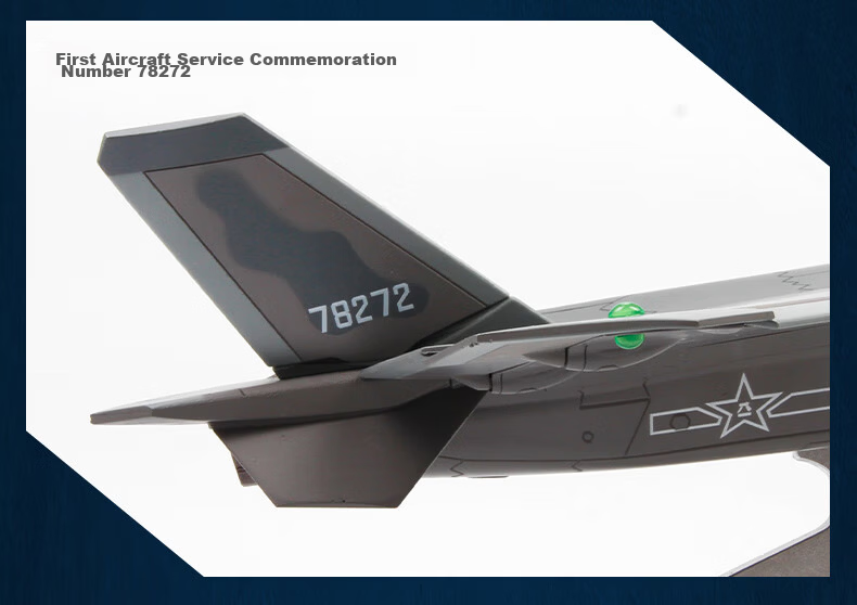 Terebo Aviation Cultural Creative Authentic 1:100 J-20 Fighter Jet Alloy Simulation Aircraft Model Airshow Veteran Commemorative 10