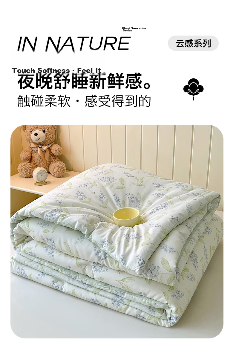 Hongdou Class A Antibacterial Xinjiang Cotton Quilt Core Single Spring and Autumn Quilt Core Air Conditioning Quilt Core 2*2.3m 4 Jin Leaf 3