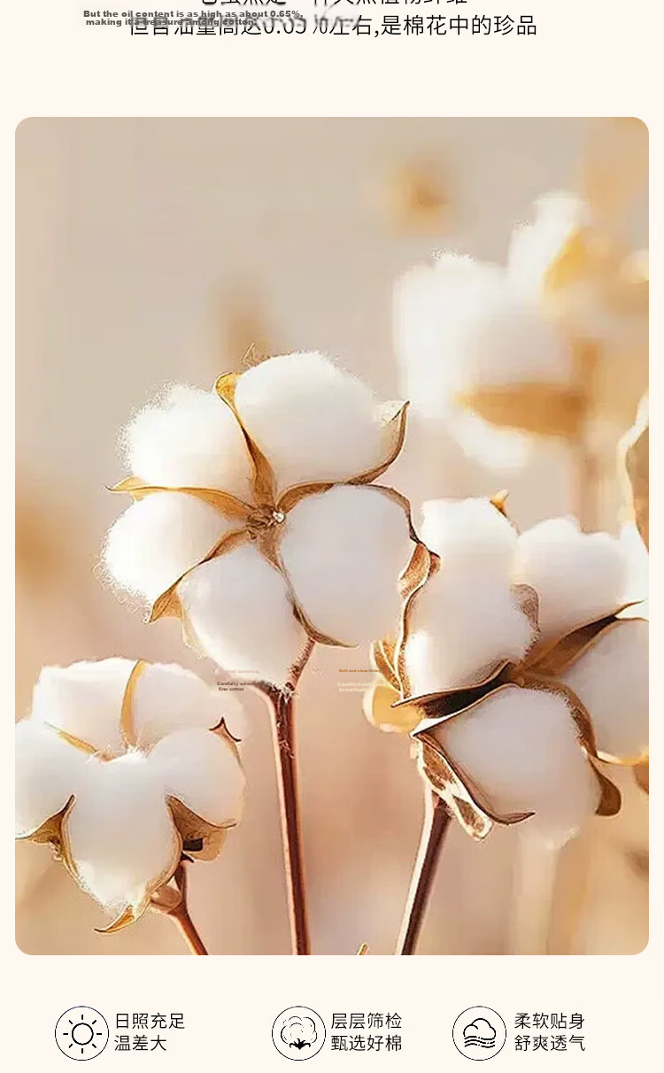Yuanshenghuo Xinjiang Cotton Quilt, Cotton Comforter, Thin Quilt Filling, Heating Blanket, Classic Cotton Quilt, 2 Jin (1 Kg), 1.5x2 Meters 3