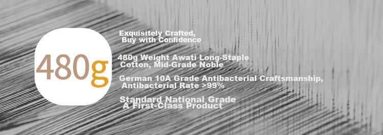 JD Jingzao 480g Thickened Xinjiang Awati Long-Staple Cotton Class A Pure Cotton Large Soft Student Adult Bath Towel Blue 4