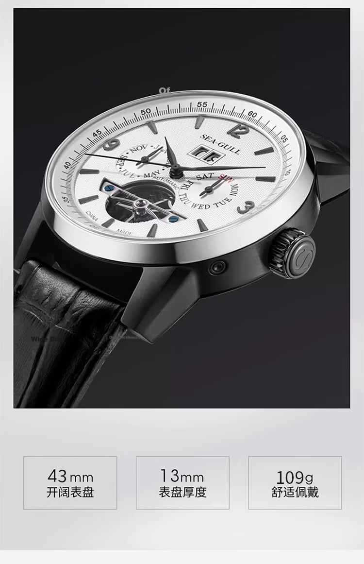 SEAGULL Men's Automatic Mechanical Watch Calendar Week Month Skeleton Tourbillon Men's Watch Birthday Gift 1328 White 5