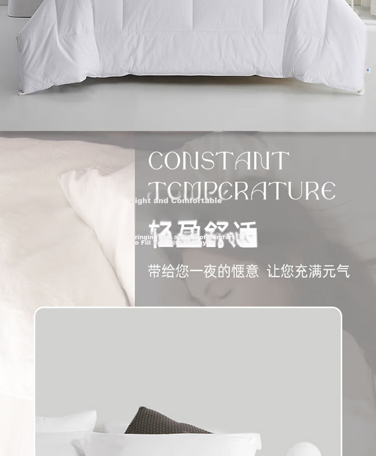 Yuanshenghuo Bedding Set of Eight Pieces: Duvet Cover, Pillowcases, Pillow Inserts And Mattress Pad Set - 8 Jin Winter Weight - for 1.8m Bed - Gray 12