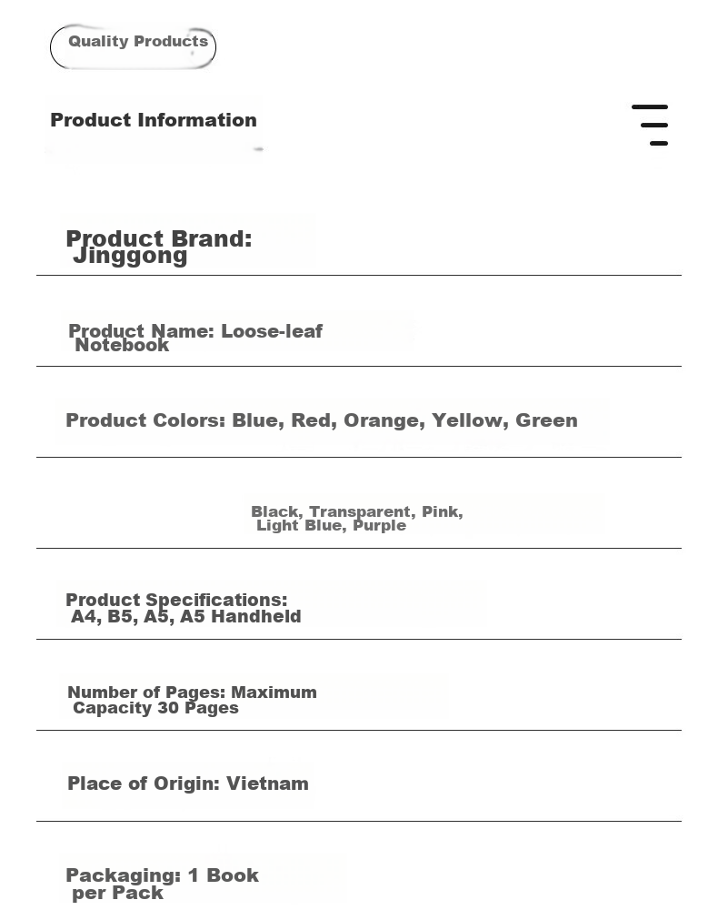 King Jim KINGJIM B5 8-Hole Loose-Leaf Notebook, Lightweight Detachable Coil, Refillable, Transparent 9855TTE-GSN B5 10
