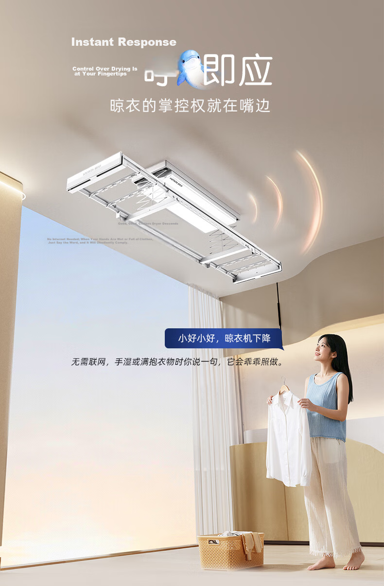 Hotata Intelligent Clothes Drying Rack, Invisible Ultra-Thin Lifting Electric Clothes Hanger D-3272, Offline Voice Control 16