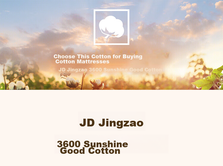 JD Original Xinjiang Cotton Class A Student Dormitory Mattress Pad, Classic All-Cotton for Bunk Beds, 0.9x2m 6