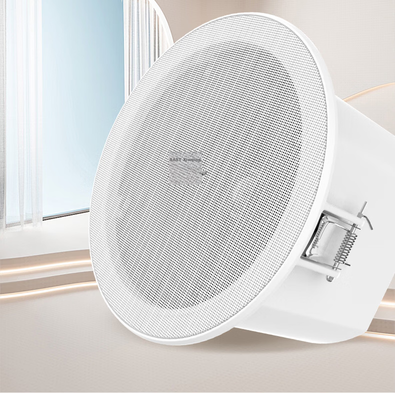 SAST G3 Wireless Bluetooth Ceiling Speaker Embedded Built-in Amplifier Commercial Store Indoor Background Music Speaker Set Conference Broadcasting System Host 9