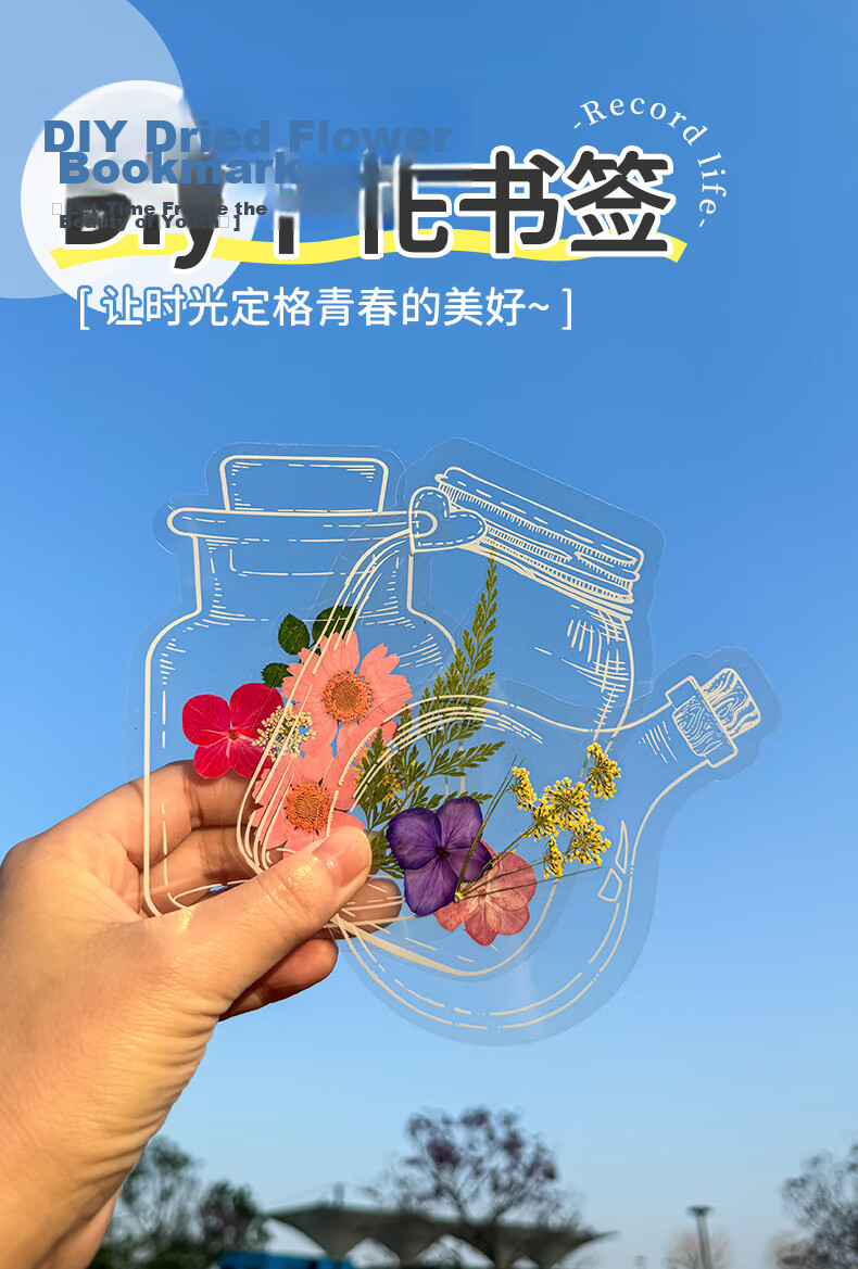 Tianse Transparent Dried Flower Bookmarks Handmade DIY Material Kit Leaf Specimen Laminated Plant Pressed Petals Back to School Set 20 Sheets TS-6132 2