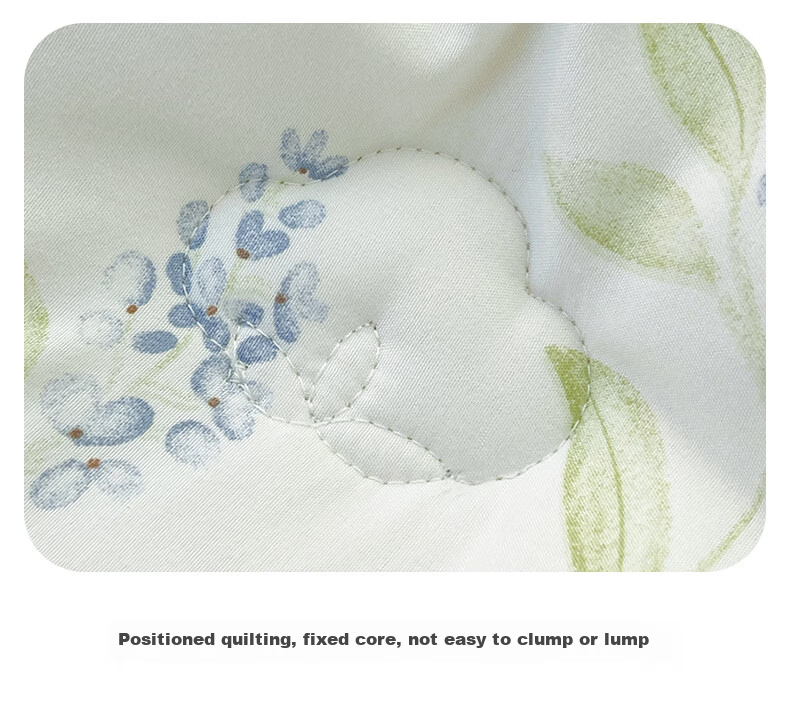 Hongdou Class A Antibacterial Xinjiang Cotton Quilt Core Single Spring and Autumn Quilt Core Air Conditioning Quilt Core 2*2.3m 4 Jin Leaf 17
