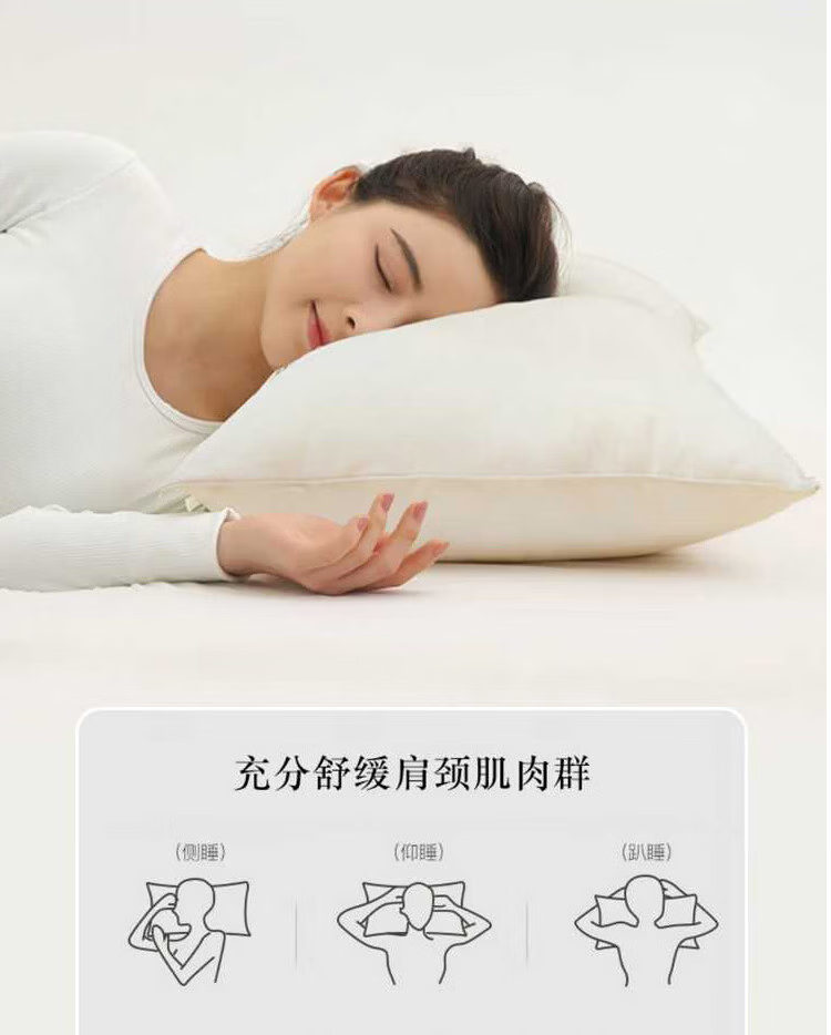 Yuanshenghuo Bedding Set of Eight Pieces: Duvet Cover, Pillowcases, Pillow Inserts And Mattress Pad Set - 8 Jin Winter Weight - for 1.8m Bed - Gray 16