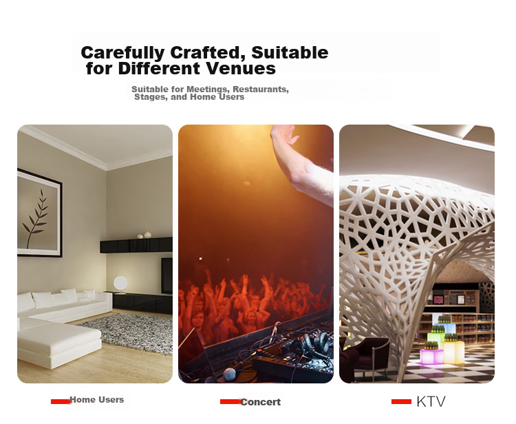 Newmine D16 Constant Voltage Amplifier, Ceiling Speaker System, Background Music Public Address System, Broadcasting Speaker Amplifier 11