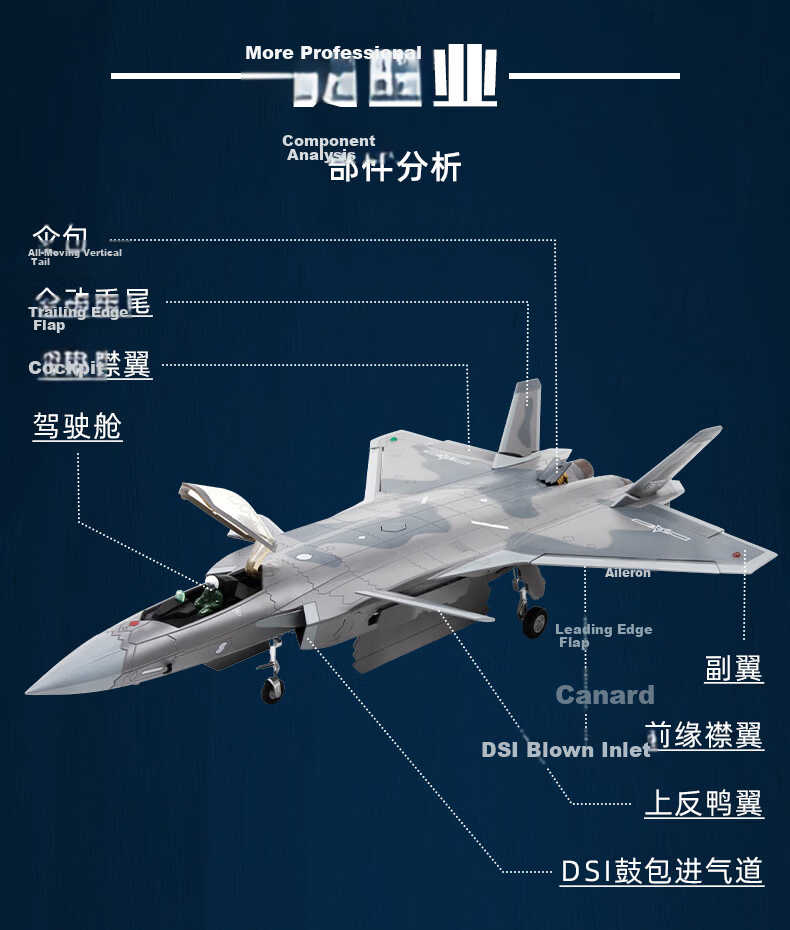 Terebo Aviation Cultural Creative Authentic 1:100 J-20 Fighter Jet Alloy Simulation Aircraft Model Airshow Veteran Commemorative 4