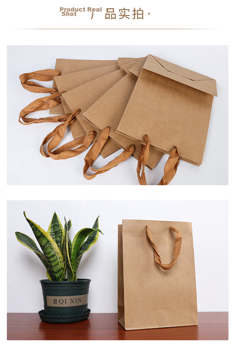 TaTanice Kraft Paper Bags 5-Pack Teacher's Day Gift Bags Holiday Gift Bags Birthday Gift Bags Small Handbags Storage Bags 5