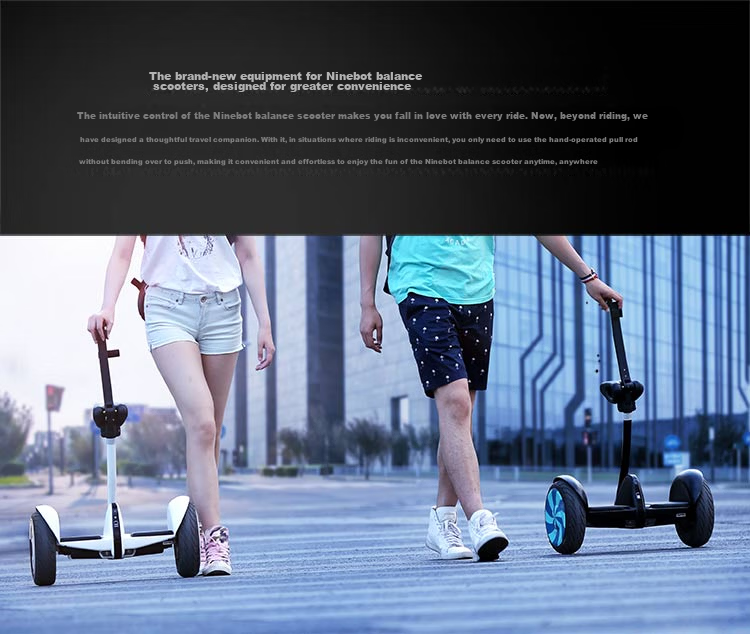 Ninebot Balance Scooter Dedicated Charger Suitable for MiniPro2, MiniPro, Mini Xiaojiu L8 6