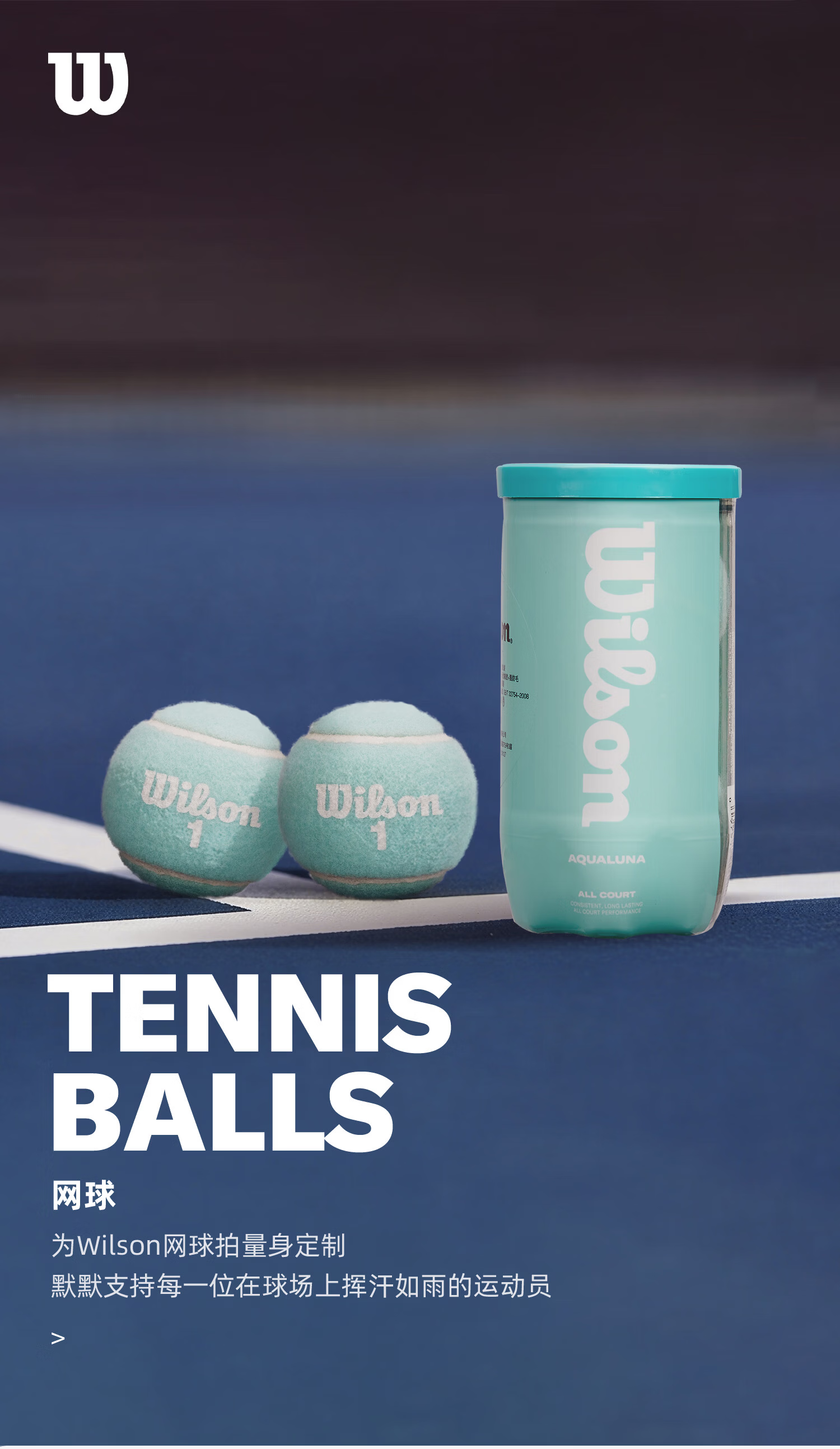 Wilson Official Women's Tennis Balls for French Open, Canned, 3-Pack [Random Number on Ball] 1