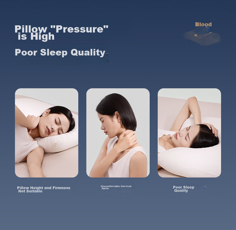 Luolai Home Textiles Memory Pillow A-Class Zero Pressure Deep Sleep Memory Foam Zoned Cervical Pillow Sleep Aid Pillow Goddess Gift Box 2