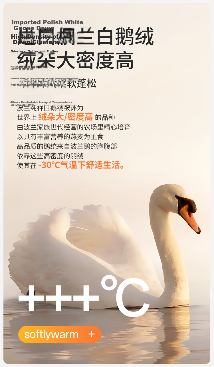 Urban Beauty [Goose Down Tencel] Women's Thermal Underwear Set Thickened Autumn Top and Bottom Base Layer Shirt 6