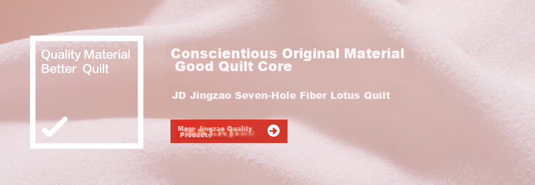 JD Original Bear Plush Comforter, Knitted Fleece Fabric Warm Fiber Duvet Insert, Spring And Autumn Quilt, 2x2.3m 1