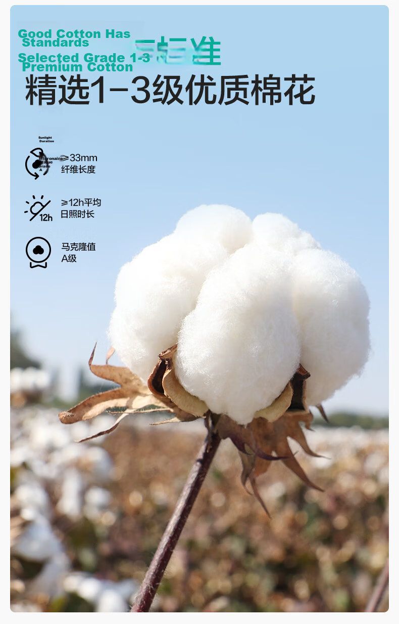 PurCotton Towel, Lint-Free, Extra Large And Thick, Antibacterial, Soft, Highly Absorbent, Bamboo Green, 32*70cm 10