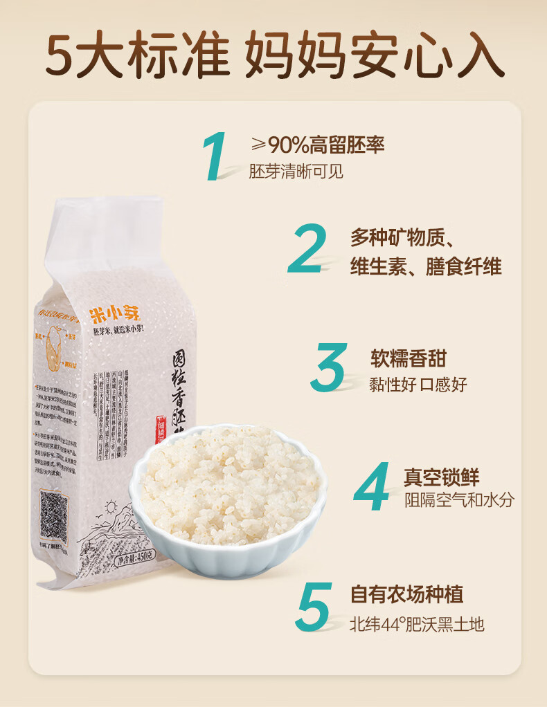米小芽 胚芽米谷物米营养大米粥450g