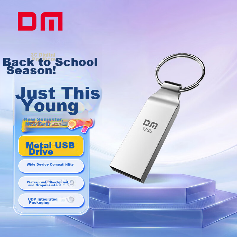 DM Damai 256GB USB 3.2 Type-C Mobile Phone USB Drive PD198 High-Speed Dual Interface for Android Apple Laptop Car USB Flash Drive