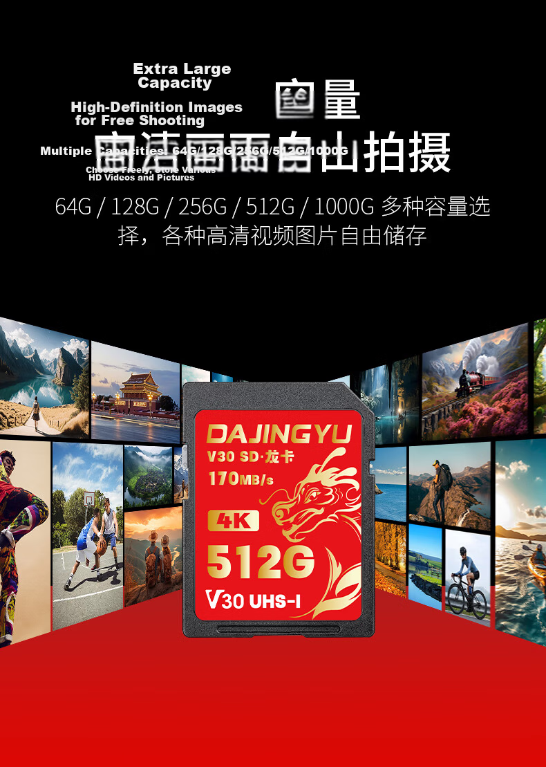 DAJINGYU Big Whale SD Card V30 64GB Camera Memory Card High Speed DSLR Storage Card Compatible with Sony A1/ZV-E1/A7M4 Nikon Canon Fujifilm Panasonic 5