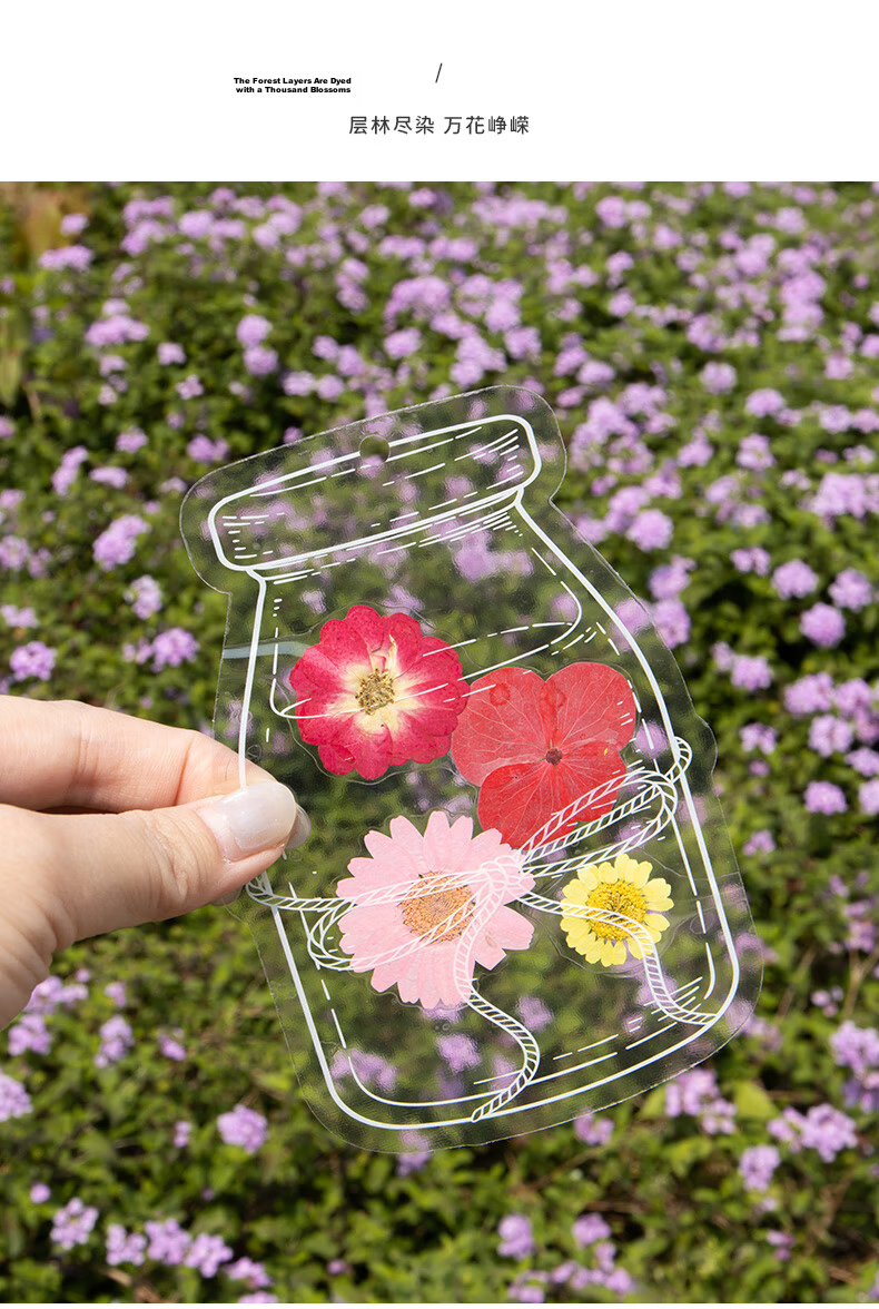 Tianse Transparent Dried Flower Bookmarks Handmade DIY Material Kit Leaf Specimen Laminated Plant Pressed Petals Back to School Set 20 Sheets TS-6132 31