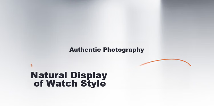 SEAGULL Men's Automatic Mechanical Watch with Date Display, Steel Strap Men's Watch, Birthday Gift for Men, Model 6613 White Dial Roman Numeral 25