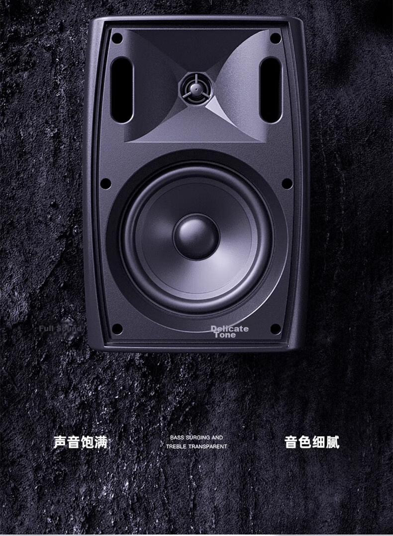 SAST 60W Wall-Mounted Speaker, Passive Wall-Mounted Speaker for Connecting Amplifier, Background Music, Public Address System, Restaurant And Conference Broadcasting, Constant Voltage DW60 Black 7