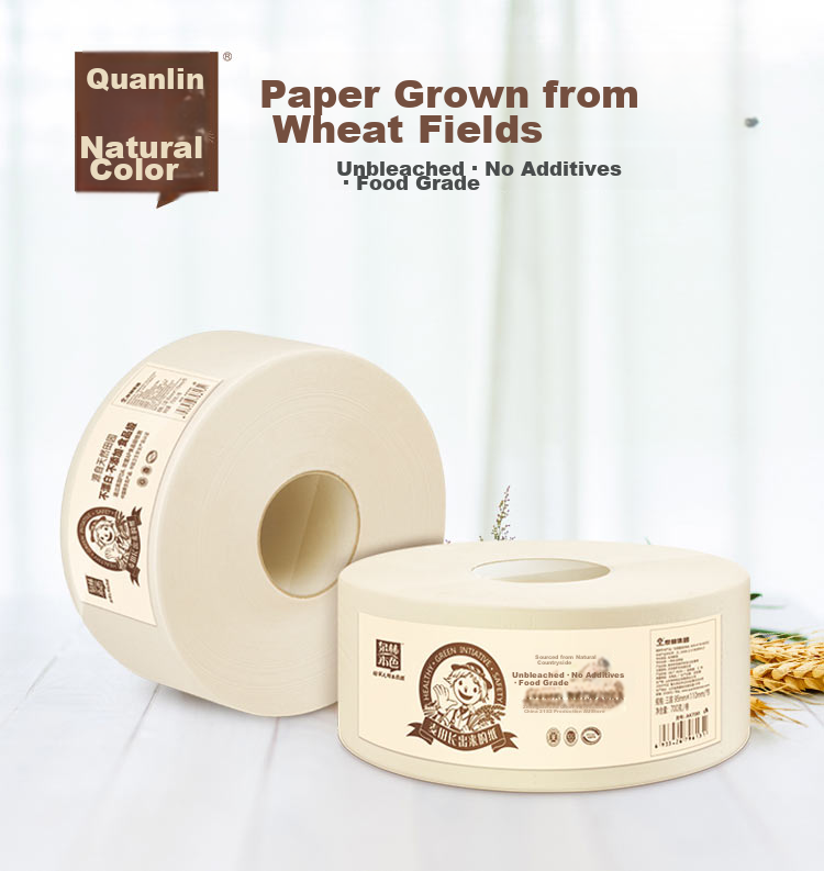 Quanlin Natural Core Commercial Jumbo Roll Toilet Paper 3-Ply 700g x 10 Rolls Bulk Pack for Mall Hotel Office 1