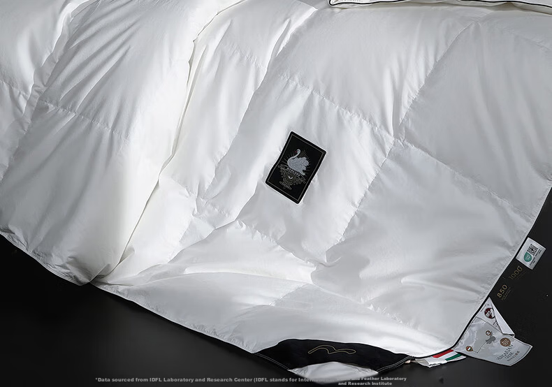 Mercury Home Textiles 95% White Goose Down Quilt Winter Thickened Warm Double Down Comforter 200×230cm-420g 14