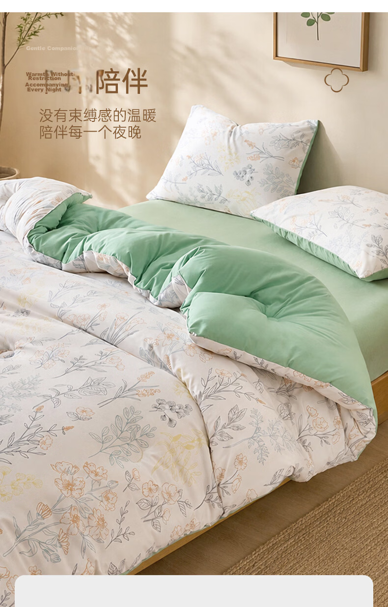 Grace Class A Fabric Single Student Winter Quilt Dormitory Air Conditioning Comforter Cotton Quilt Thick 6 Jin 150*200cm 10