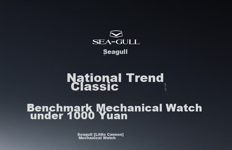 SEAGULL Men's Automatic Mechanical Watch with Date Display, Steel Strap Men's Watch, Birthday Gift for Men, Model 6613 White Dial Roman Numeral 2