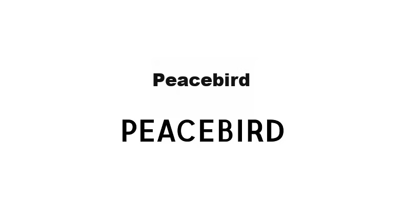 Peacebird Mens Casual Crew Neck Solid Color Brushed Yarn Loose Sweater Moss Green XL First Batch 1