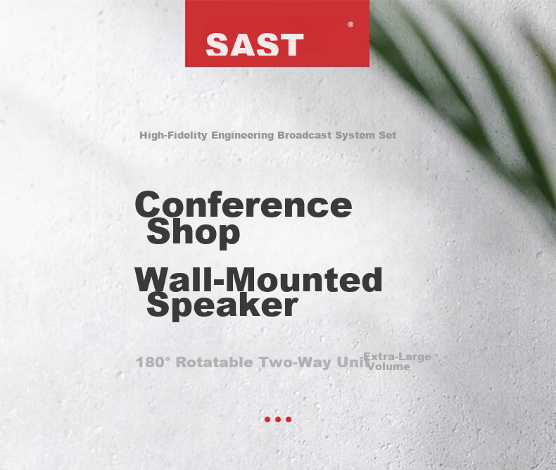 SAST 60W Wall-Mounted Speaker, Passive Wall-Mounted Speaker for Connecting Amplifier, Background Music, Public Address System, Restaurant And Conference Broadcasting, Constant Voltage DW60 Black 3