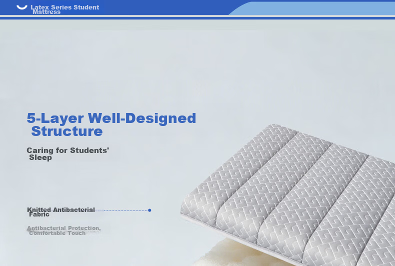 BEYOND Home Textiles Back-To Season Antibacterial Latex Student Mattress Dormitory Single Bunk Bed Pad Mattress Sleeping Mat 90*195cm 15
