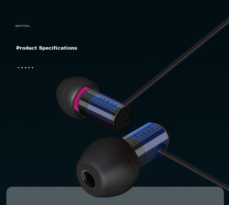 FINAL E1000 Portable In-Ear Earphones Lossless Music Earbuds Black 16