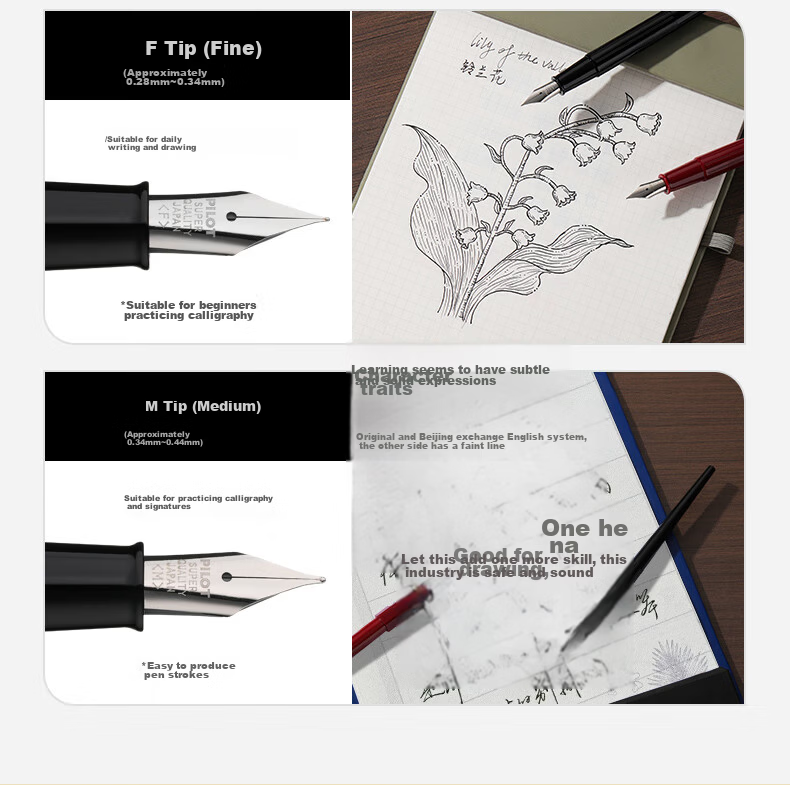PILOT Fine Long Pen Fountain Pen for Male And Female Hand-Drawing Sketching Calligraphy Practice Students Adults Fountain Pen DPP-70 F Nib Red 6