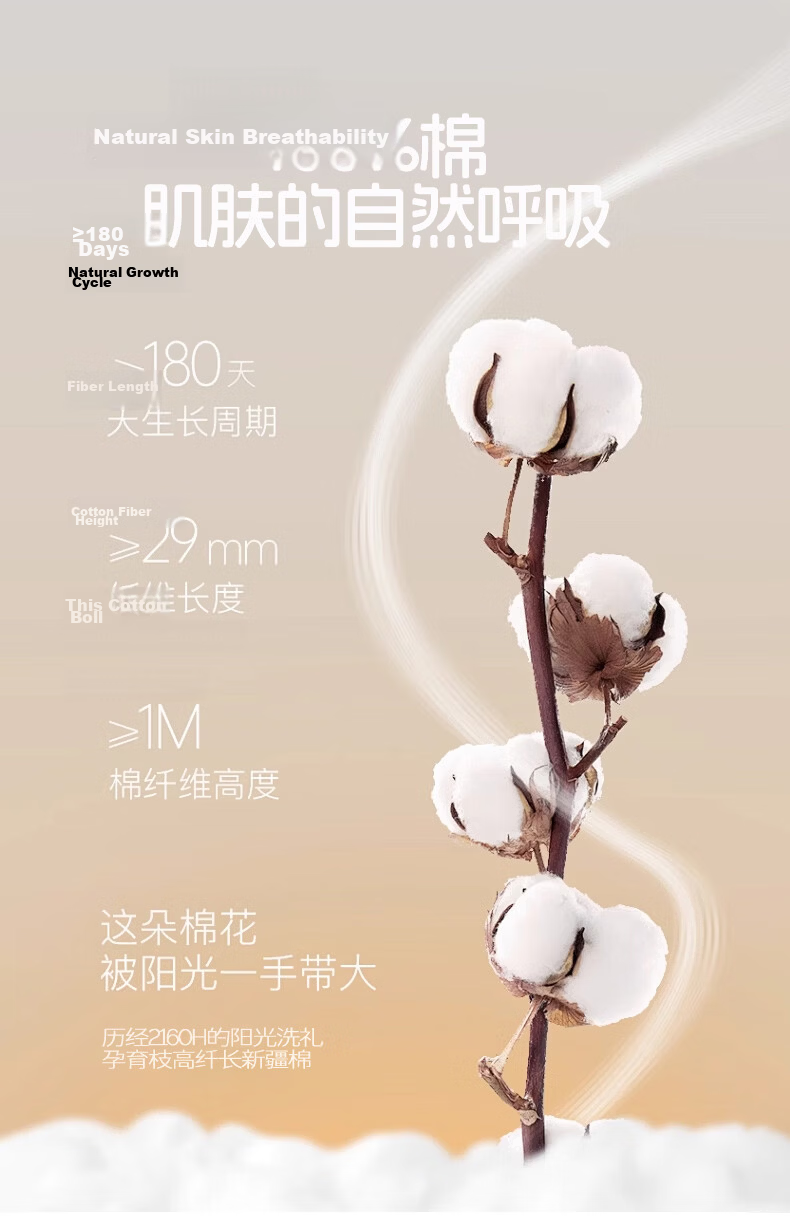 MUJI 100% Cotton Four-Piece Bedding Set, All Cotton Bed Sheet and Duvet Cover, King Size 220x240cm for 1.8/2.0m Bed 9