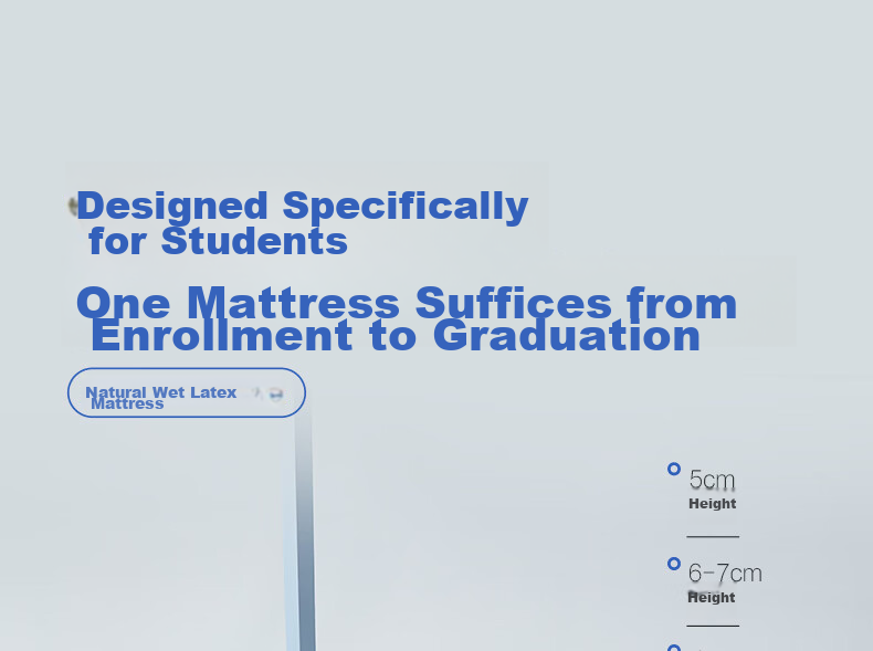 BEYOND Home Textiles Back-To Season Antibacterial Latex Student Mattress Dormitory Single Bunk Bed Pad Mattress Sleeping Mat 90*195cm 2