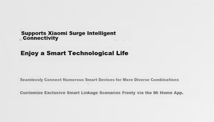 MI Smart Wireless Switch (Double) Deep Space Gray Mijia Wireless Dual Control Panel Remote Switch No Wiring Required 13