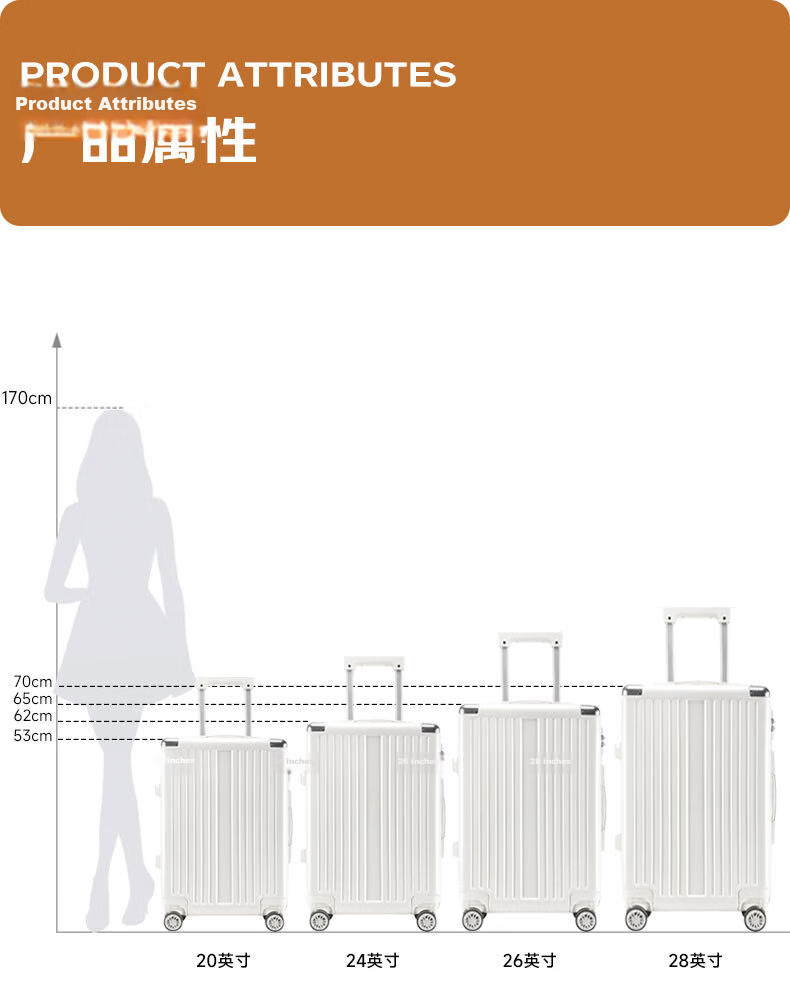 CARTELO Suitcase, 24-Inch Trolley Case, Travel Luggage, Carry-On Suitcase, Password Lock, Large Capacity Leather Case for Men And Wome 15