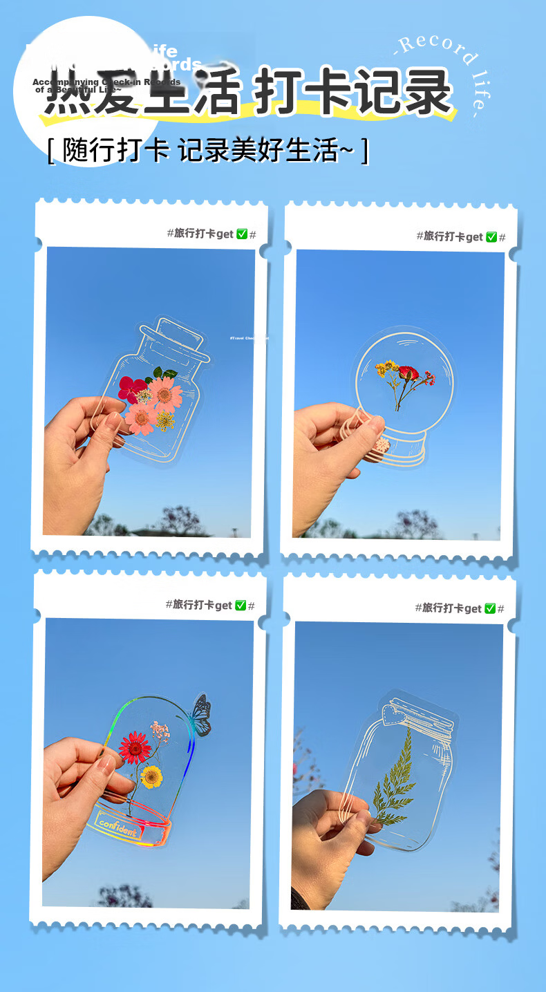 Tianse Transparent Dried Flower Bookmarks Handmade DIY Material Kit Leaf Specimen Laminated Plant Pressed Petals Back to School Set 20 Sheets TS-6132 13