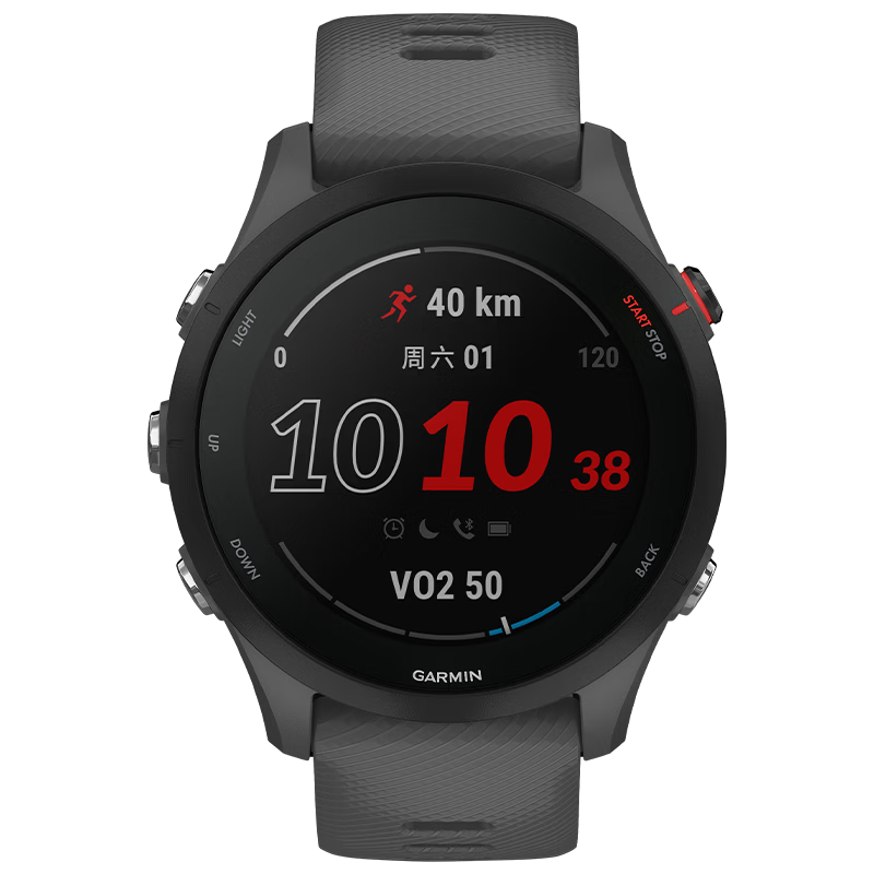 GARMIN Forerunner 255 Heart Rate Blood Oxygen Professional Running Outdoor Sports Smartwatch Mystic Gray Birthday Gift