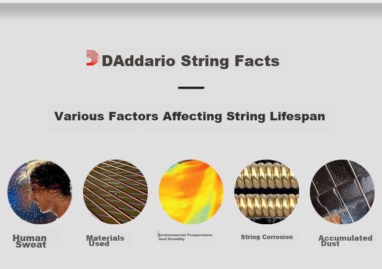 D'Addario EJ46 American Imported Classical Guitar Strings, High Tension Nylon Core Set Strings 17