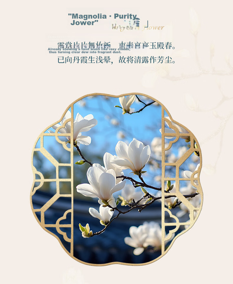 HERO Fountain Pen, New Year Gift Box Shaohua Series - Magnolia Flower Men's And Women's Business Personalized Signature Iridium Gold Pen Gift High-End Ink Set White 2