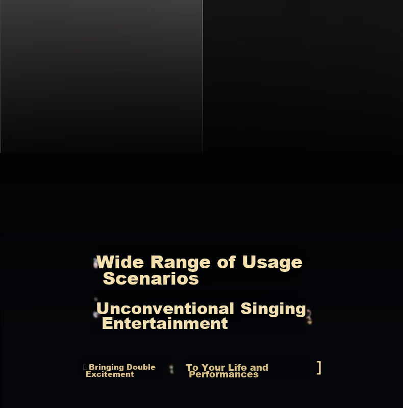 Aiguozhe K55 Microphone, Dual-Channel Handheld Conference U-Segment Stage Anti-Interference Anti-Loudness Speech Training Broadcasting Professional Stage Wedding Performance 17