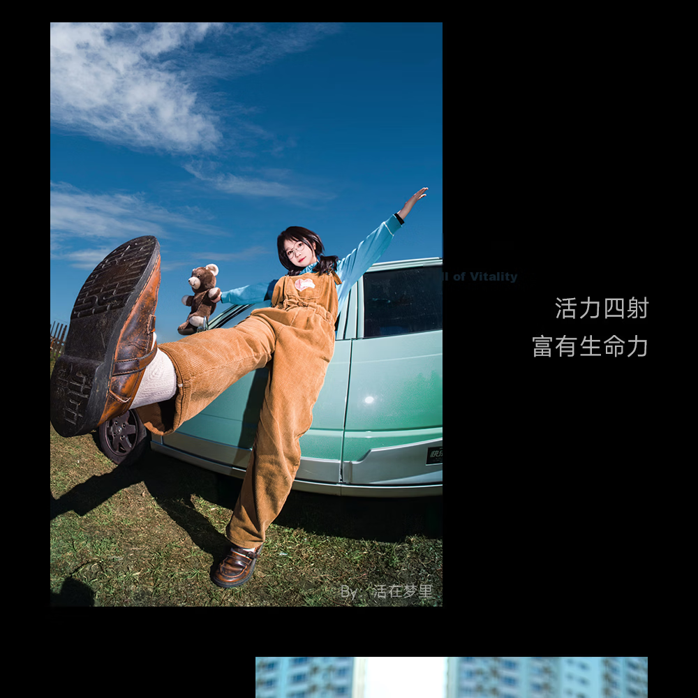 Brightin Star 11mm F2.8 II Full-Frame Wide-Angle Fisheye Lens for Nikon Z Mount Mirrorless Cameras 19