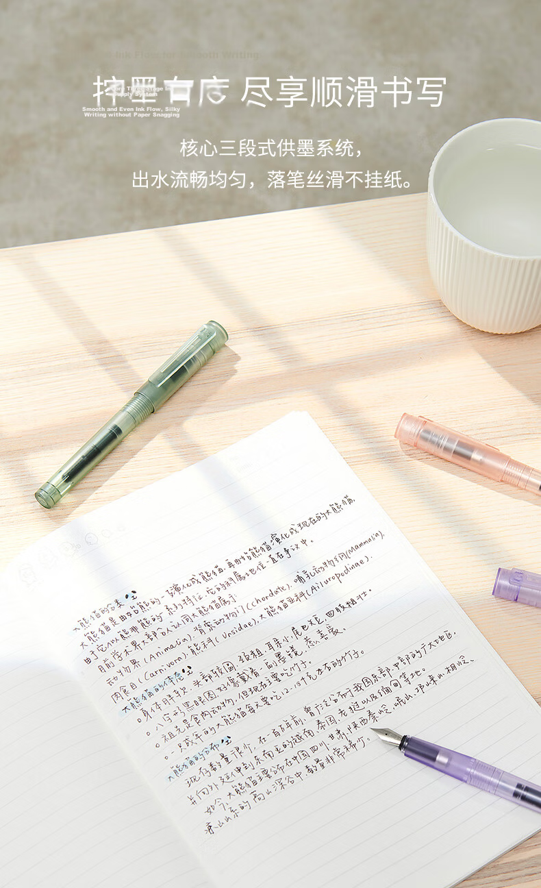 KACO Baifeng SKY Student Fountain Pen Adult Calligraphy Pen EF Nib PP Case with Ink Cartridges and Converter Green/Matte Green (Forest Green) 8