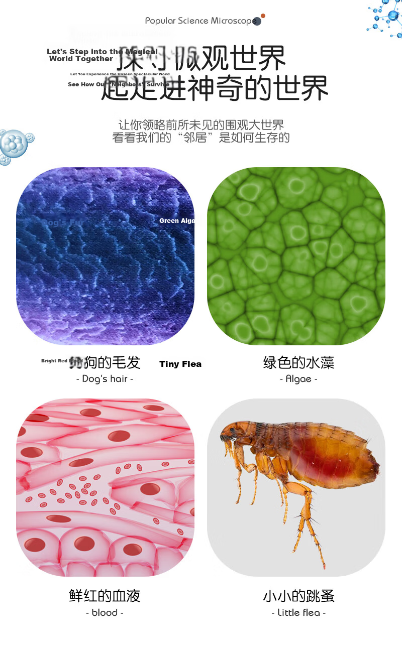 Lezhi Youwo High-Definition Microscope Children's Toy Teaching Model for Primary and Secondary Students Birthday Holiday Gift for Boys and Girls 3